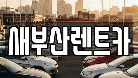 부산 서구 아미동2가 렌트카 전문 새부산렌트카