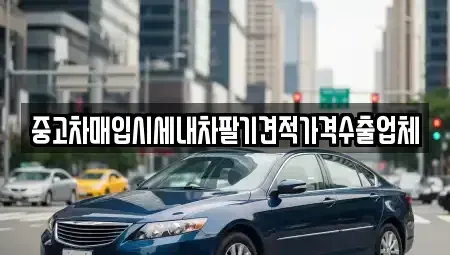 부산 서구 중고차매입 전문 중고차매입시세내차팔기견적가격수출업체
