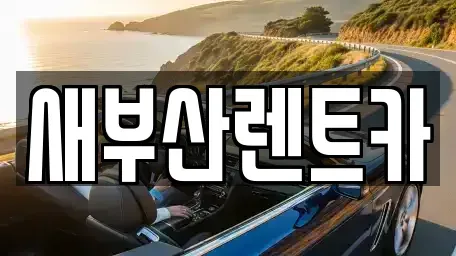 부산 서구 토성동2가 렌트카 전문 새부산렌트카