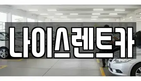 부산 수영구 수영동 렌트카 전문 나이스렌트카