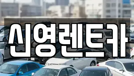 부산 수영구 수영동 장기렌트카 전문 신영렌트카