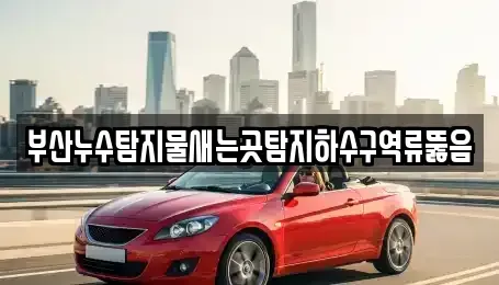 부산 수영구 수영동 중고차매입 전문 부산누수탐지물새는곳탐지하수구역류뚫음