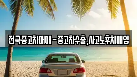 부산 수영구 수영동 중고차매입 전문 전국중고차매매-중고차수출,사고노후차매입