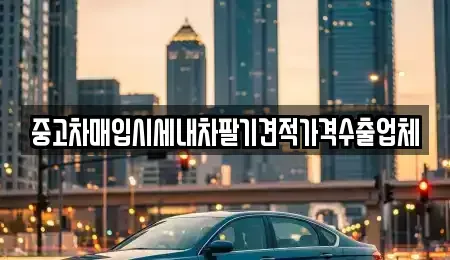 부산 수영구 수영동 중고차매입 전문 중고차매입시세내차팔기견적가격수출업체
