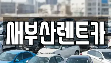 부산 영도구 영선동2가 렌트카 전문 새부산렌트카