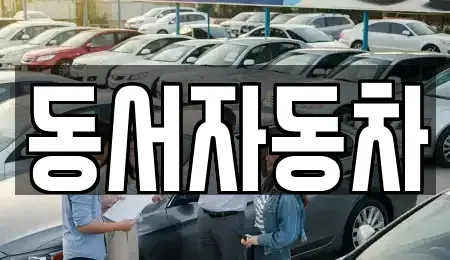 부산 영도구 영선동2가 중고차 전문 동서자동차