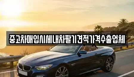 부산 중구 대청동2가 중고차매입 전문 중고차매입시세내차팔기견적가격수출업체