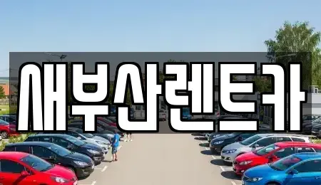 부산 중구 신창동2가 렌트카 전문 새부산렌트카