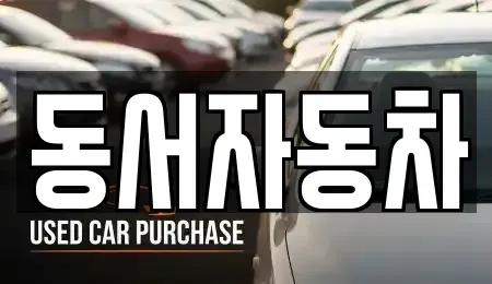 부산 중구 신창동2가 중고차 전문 동서자동차
