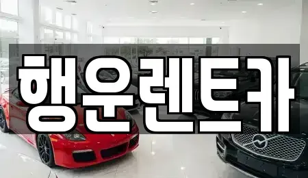 부산광역시 강서구 범방동 렌트카 전문 행운렌트카