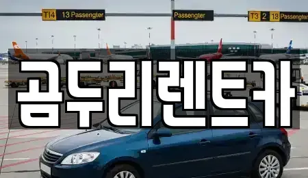 부산광역시 금정구 장전동 렌트카,단기렌트카,장기렌트카,중고차,중고차매매,중고차매입