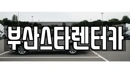 부산광역시 금정구 장전동 렌트카 전문 부산스타렌터카