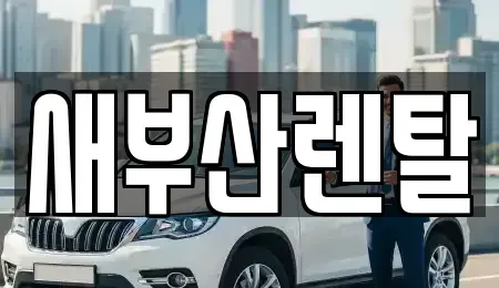 부산광역시 금정구 장전동 렌트카 전문 새부산렌탈