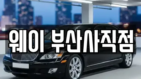 부산광역시 동래구 렌트카 전문 웨이 부산사직점