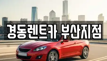 부산광역시 동래구 장기렌트카 전문 경동렌트카 부산지점