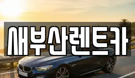 부산광역시 동래구 장기렌트카,중고차,렌트카,단기렌트카,중고차매입,중고차매매