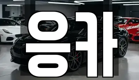 부산광역시 동래구 장기렌트카 전문 응카