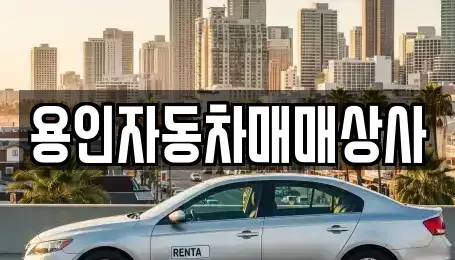 부산광역시 동래구 중고차 전문 용인자동차매매상사