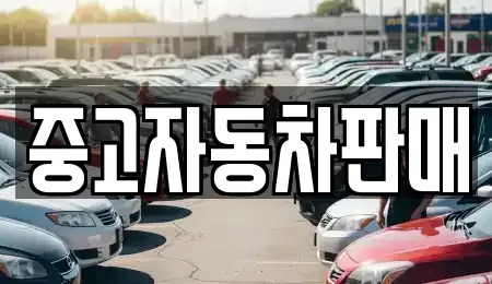 부산광역시 동래구 중고차 전문 중고자동차판매
