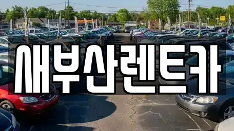 부산광역시 영도구 영선동3가 렌트카 전문 새부산렌트카
