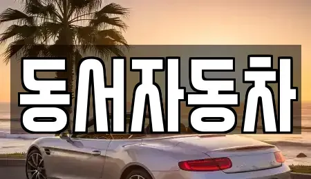 부산광역시 영도구 영선동3가 중고차 전문 동서자동차