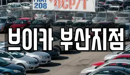 부산광역시 중구 대청동1가 렌트카 전문 브이카 부산지점