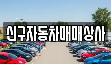 부산광역시 중구 대청동1가 중고차 전문 신구자동차매매상사