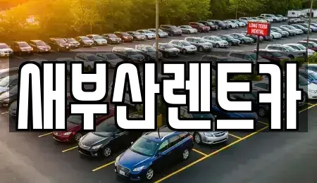 부산광역시 중구 신창동4가 렌트카 전문 새부산렌트카