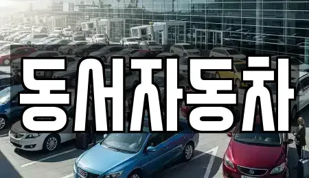 부산광역시 중구 신창동4가 중고차 전문 동서자동차