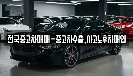 부산광역시 중구 신창동4가 중고차 전문 전국중고차매매-중고차수출,사고노후차매입