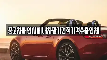 부산광역시 중구 신창동4가 중고차매입 전문 중고차매입시세내차팔기견적가격수출업체
