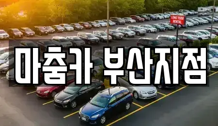 부산광역시 해운대구 중동 장기렌트카 전문 마춤카 부산지점