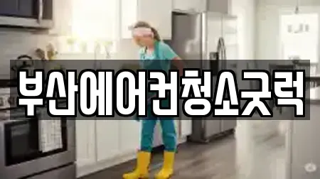 부산광역시 서구 서대신동3가 청소업체 인기 장소 13