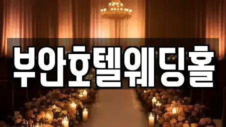 전북특별자치도 부안군 행안면 웨딩드레스 추천 5곳