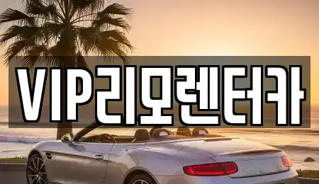 서울 강서구 화곡동 렌트카 전문 VIP리모렌터카