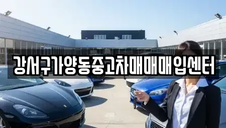 서울 강서구 화곡동 중고차매매 전문 강서구가양동중고차매매매입센터