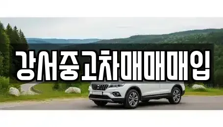 서울 강서구 화곡동 중고차매매 전문 강서중고차매매매입