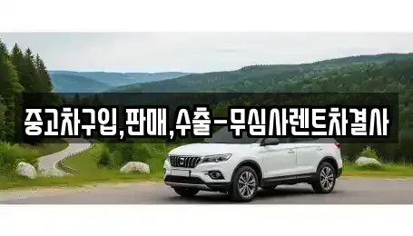 서울 강서구 화곡동 중고차매매 전문 중고차구입,판매,수출-무심사렌트차결사