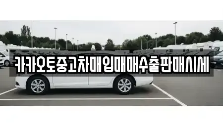 서울 강서구 화곡동 중고차매입 전문 카카오토중고차매입매매수출판매시세