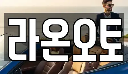 서울 광진구 구의동 렌트카 전문 라온오토