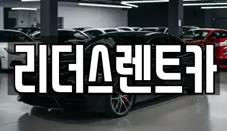 서울 광진구 구의동 렌트카 전문 리더스렌트카