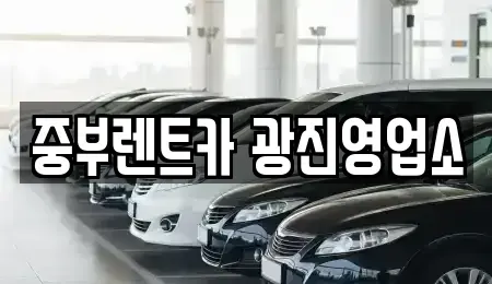 서울 광진구 구의동 장기렌트카 전문 중부렌트카 광진영업소