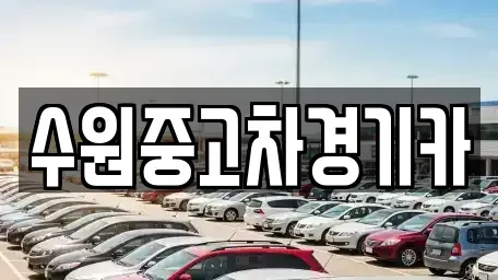 서울 광진구 구의동 중고차 전문 수원중고차경기카