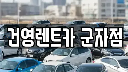 서울 광진구 군자동 렌트카 전문 건영렌트카 군자점