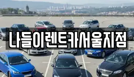 서울 광진구 군자동 렌트카 전문 나들이렌트카서울지점