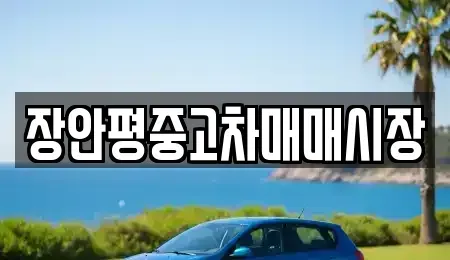 서울 광진구 군자동 중고차 전문 장안평중고차매매시장