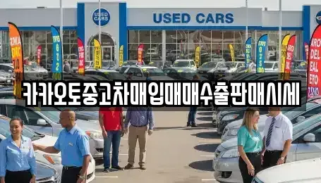 서울 광진구 군자동 중고차 전문 카카오토중고차매입매매수출판매시세