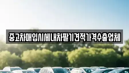 서울 광진구 군자동 중고차매입 전문 중고차매입시세내차팔기견적가격수출업체