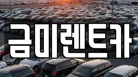서울 구로구 궁동 렌트카 전문 금미렌트카