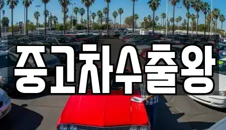 서울 구로구 궁동 중고차매매 전문 중고차수출왕